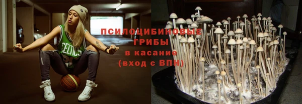 mdma Заводоуковск