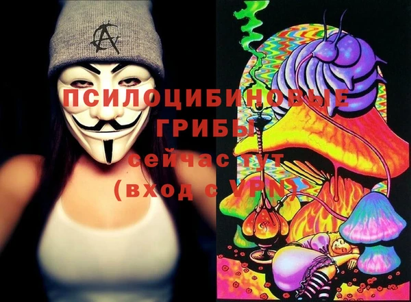 мдпв Михайловск