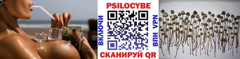 мега как зайти  Егорьевск  Псилоцибиновые грибы мицелий 