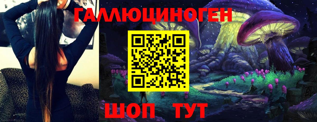 Псилоцибиновые грибы GOLDEN TEACHER  Егорьевск 