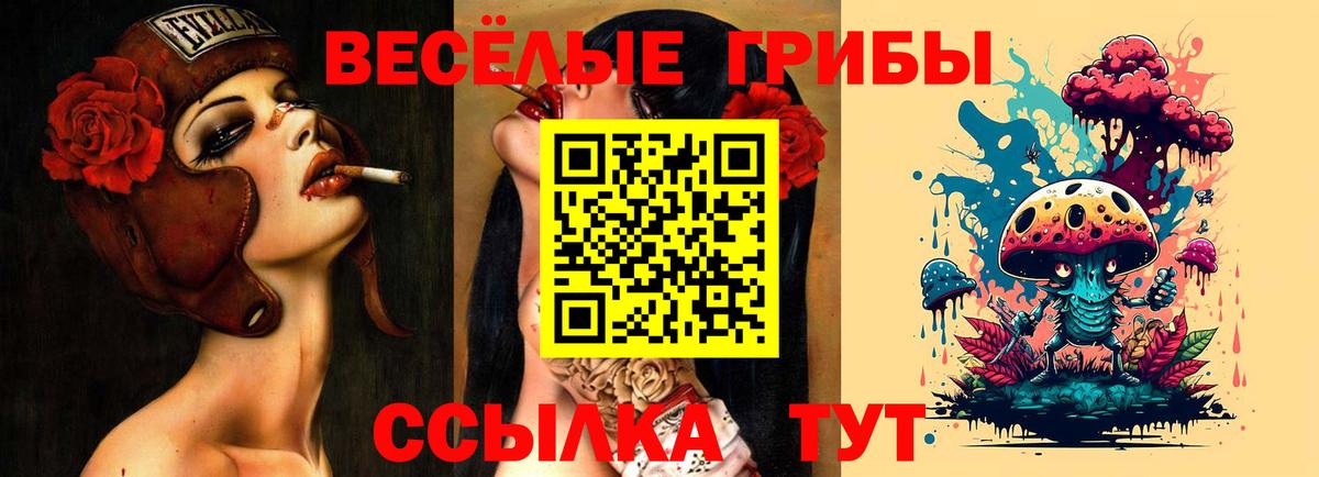 Галлюциногенные грибы мицелий  Вход с VPN  Егорьевск 