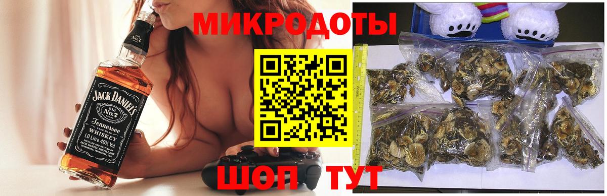 Псилоцибиновые грибы Psilocybine cubensis Егорьевск