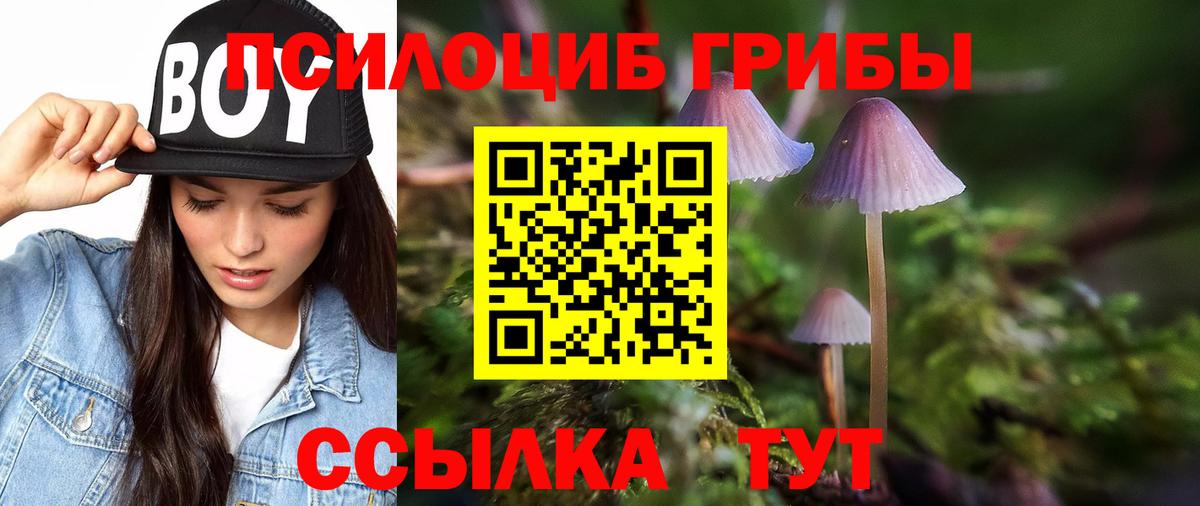 Егорьевск  Codein  Мефедрон  КОКАИН  Вход с VPN  ГАШ  Хмурый  МЕФ 